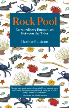 Image for Rock Pool: Extraordinary Encounters Between the Tides - A Life-Long Fascination Told in Twenty-Four Creatures