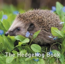 Image for The hedgehog book