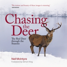 Image for Chasing the Deer