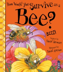 Image for How would you survive as a bee?