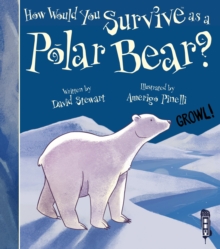 Image for How would you survive as a polar bear?