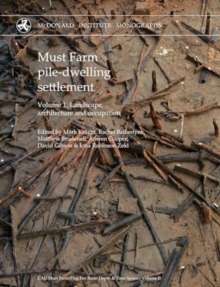 Image for Must Farm pile-dwelling settlement