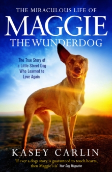 Image for The miraculous life of Maggie the wunderdog