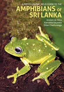 Image for A Photographic Field Guide to the Amphibians of Sri Lanka