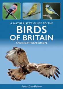 Image for A Naturalist's Guide to the Birds of Britain and Northern Europe