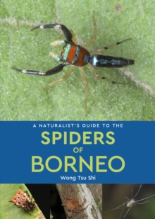 Naturalist's Guide to the Spiders of Borneo