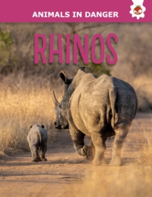 Rhinos: Animals In Danger