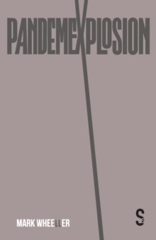 Image for Pandemexplosion