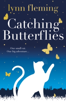 Image for Catching Butterflies