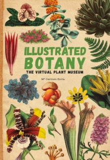 Image for Illustrated Botany