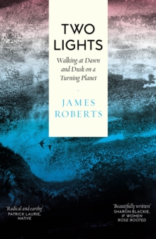 Image for Two Lights