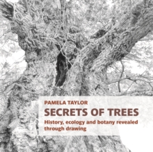 Image for Secrets of Trees