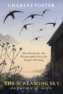 Image for The Screaming Sky: in pursuit of swifts