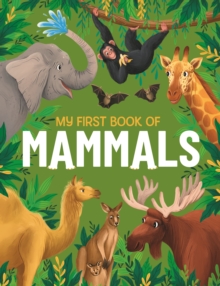 Image for My first book of mammals