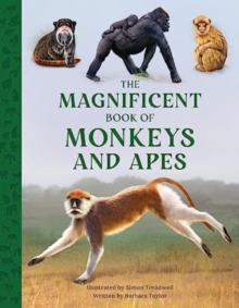 Image for The Magnificent Book of Monkeys and Apes