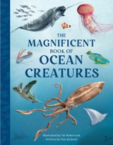Image for The Magnificent Book of Ocean Creatures