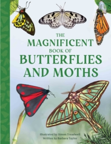 Image for The Magnificent Book of Butterflies and Moths