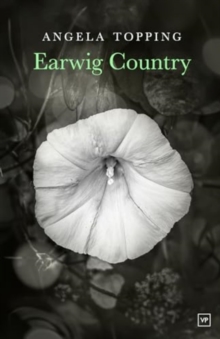 Image for Earwig Country