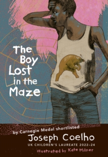 Image for The Boy Lost in the Maze