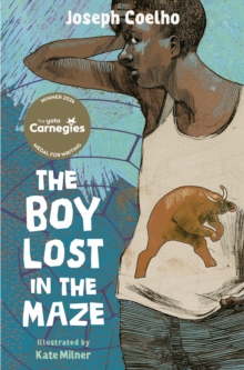 Image for The Boy Lost in the Maze