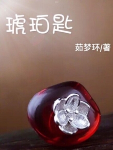Image for ???(????,????): A Hidden Past ( A Novel in Simplified Chinese Characters)