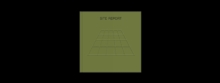 Site Report