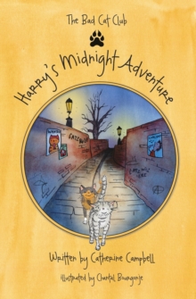 Image for Harry's Midnight Adventure