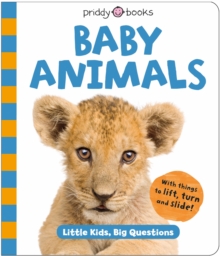 Image for Baby Animals (Little Kids, Big Questions)