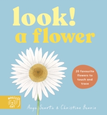 Look! A Flower! - Serota, Anya