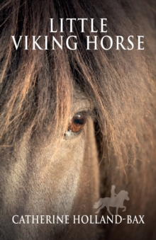 Image for Little Viking Horse