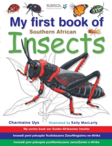Image for My First Book of Southern African Insects