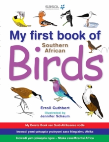 Image for My First Book of Southern African Birds