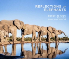 Image for Reflections of elephants