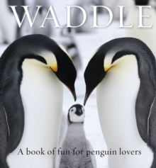 Image for Waddle