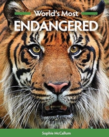 Image for World's Most Endangered