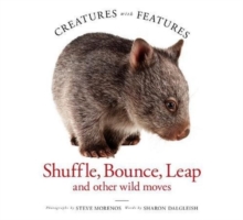 Image for Creatures with Features: Shuffle, Bounce and Leap