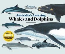 Image for Australia's Amazing Whales and Dolphins