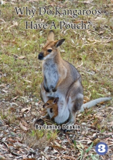Image for Why Do Kangaroos Have A Pouch?