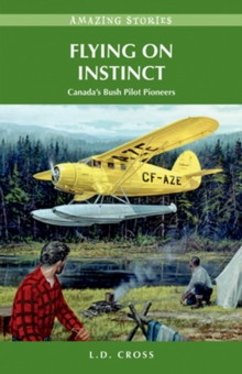 Image for Flying on Instinct