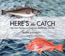 Image for Here's the Catch