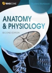 Image for Anatomy & Physiology : Student Workbook