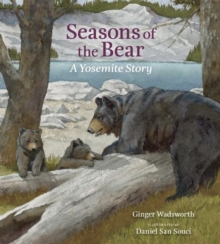 Image for Seasons of the Bear