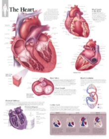 Image for Heart Paper Poster