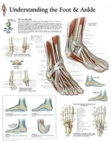 Image for Understanding the Foot & Ankle Paper Poster