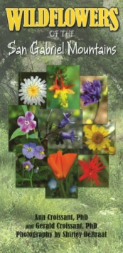 Image for Wildflowers of the San Gabriel Mountains