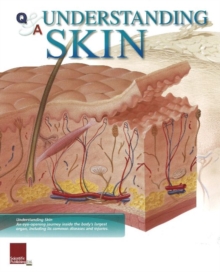 Image for Understanding Skin Flip Chart