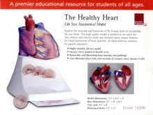 Healthy Heart