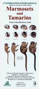 Image for Marmosets and Tamarins : Pocket Identification Guide