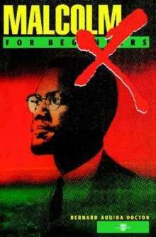 Image for Malcolm X for beginners