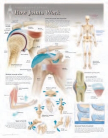 Image for How Joints Work Laminated Poster